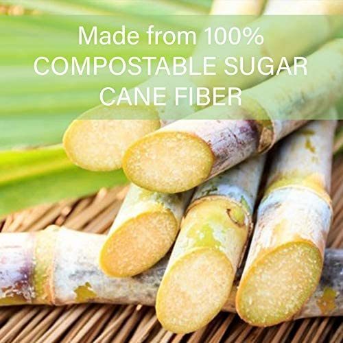 100% Compostable Bagasse Sugarcane Fancy Sauce 1oz Cup