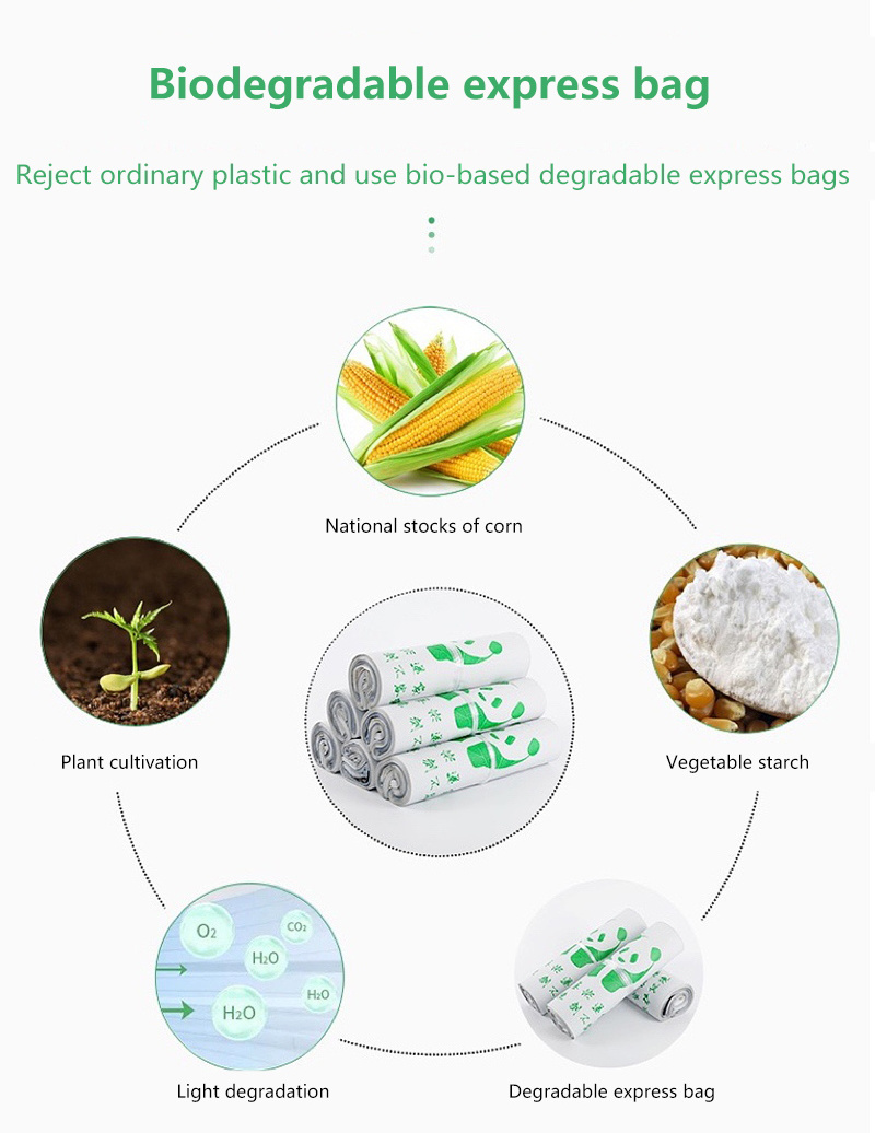 Custom Logo Self-Seal Shipping Mailing Bags Biodegradable Express Mailer Bags