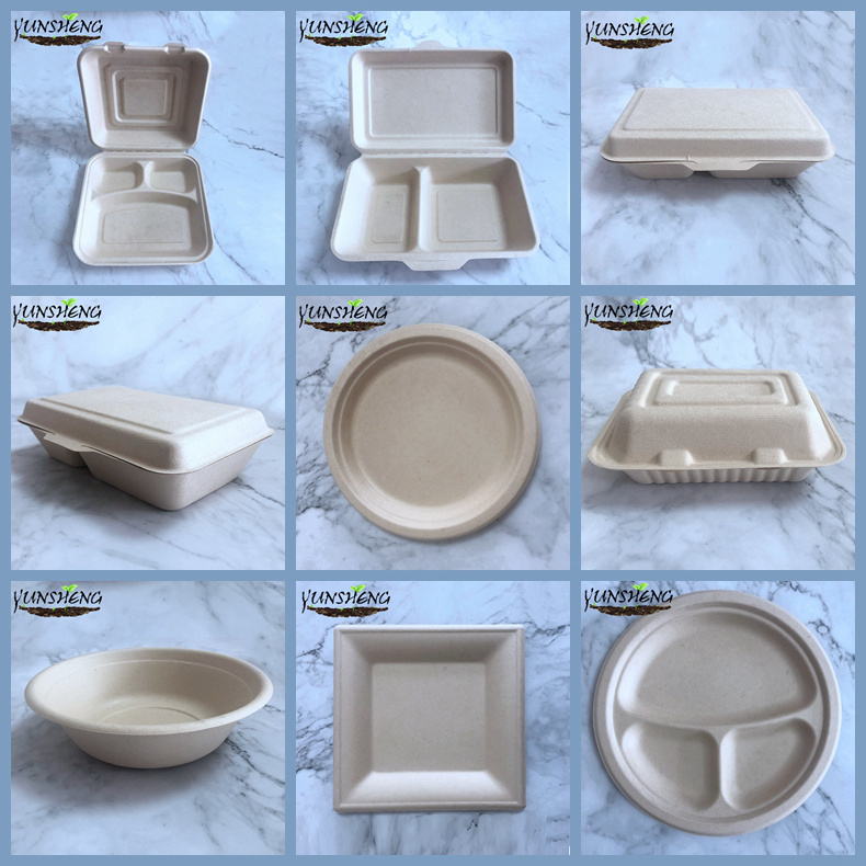 Takeaway Food Packaging Biodegradable Sugarcane Bagasse and Compostable PLA Lined Products/Cups/Bowls/Trays/Plates/Boxes