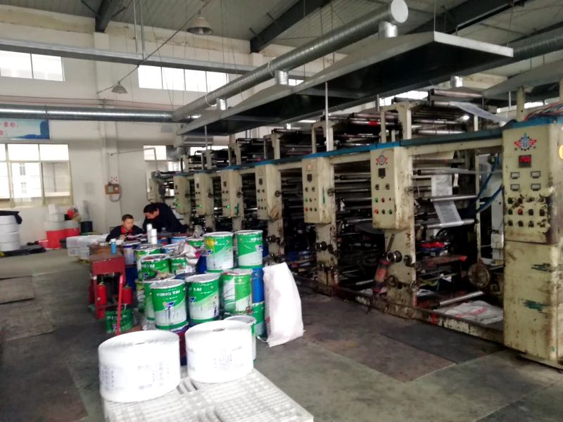 Customizable Logo Text Printing Plastic Packaging Bag/Shopping Plastic Bag/Plastic Bags