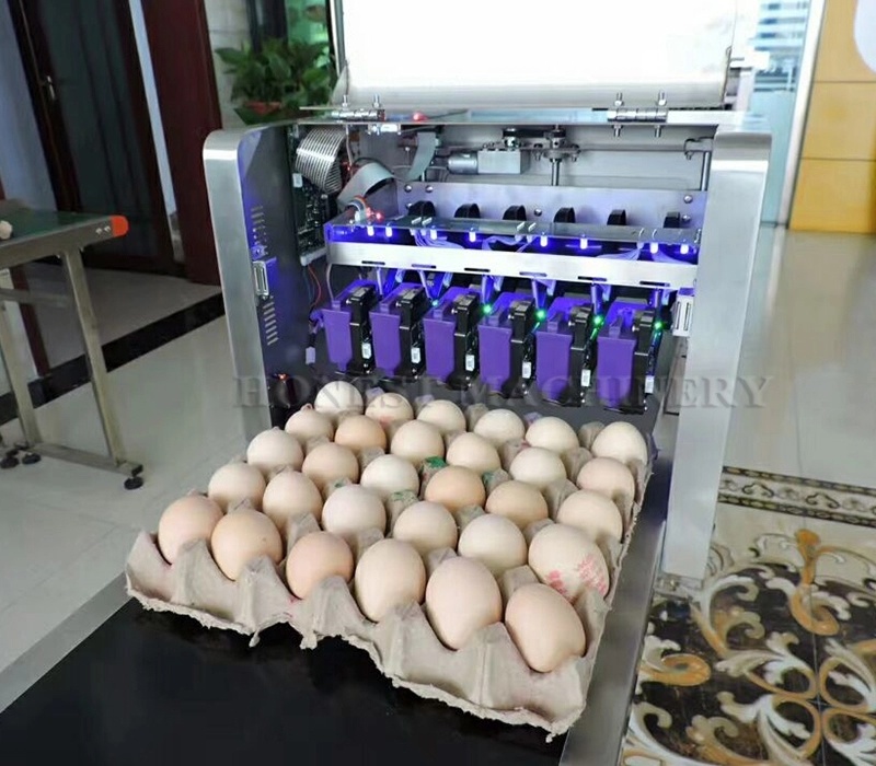 China Manufacture Egg Printing Machine / Egg Laser Printer Machine / Egg Printer