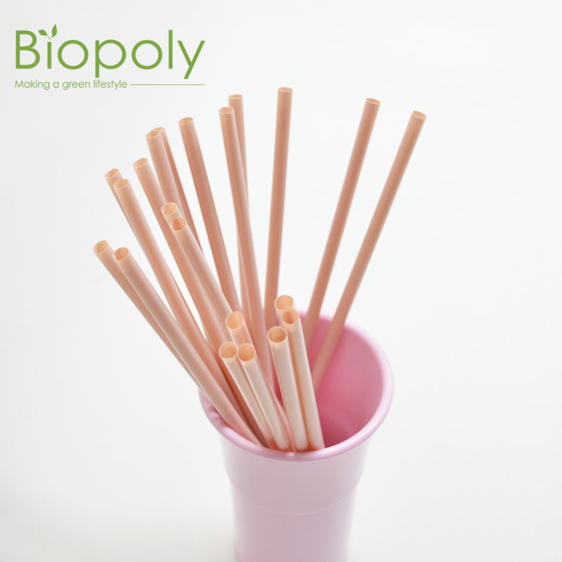 PLA Straw Biodegradable Composting Straw with Free Samples