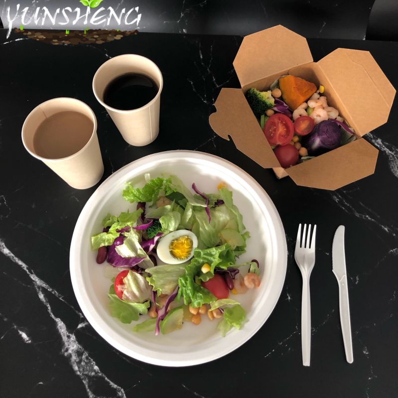Disposable Biodegradable Sugarcane Bagasse Plate