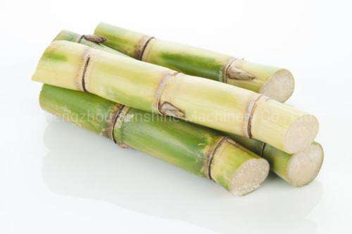 Vertical Small Mini Sugarcane Sugar Cane Juicer Machine