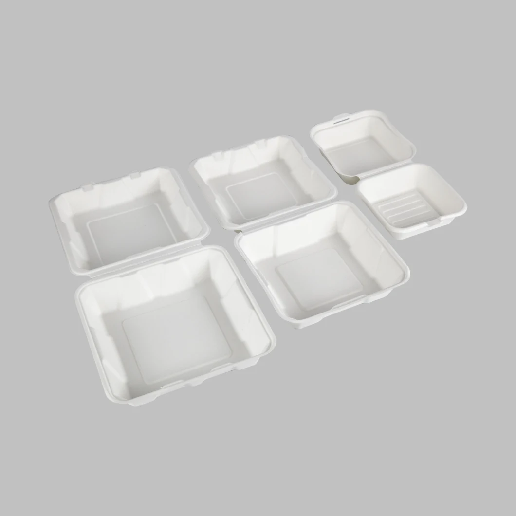 Bagasse Box Sugarcane Bagasse Food Container Biodegradable to Go Box Lunch Box