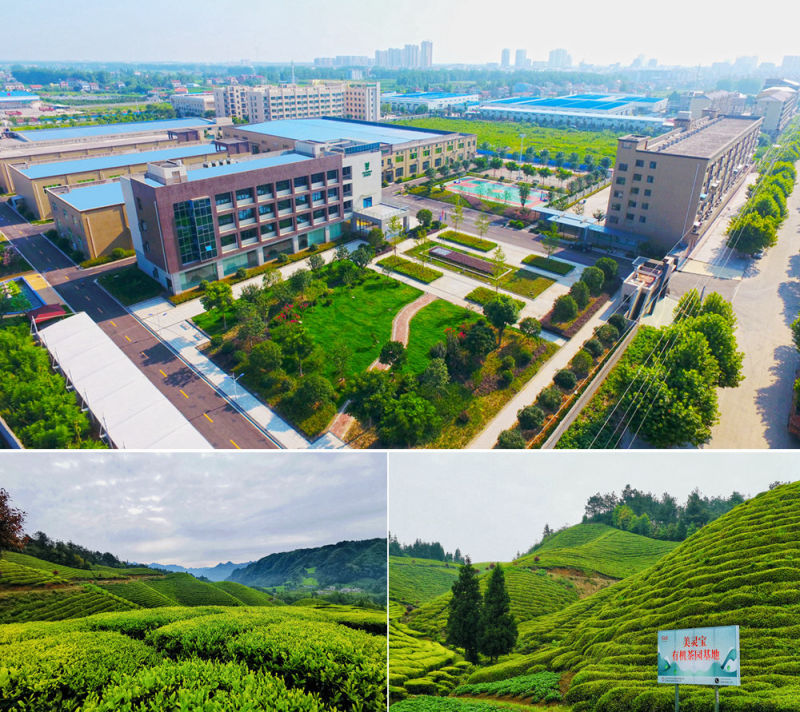 Biodegradable Corn Fiber Empty Tea Bag Manufacturer in China