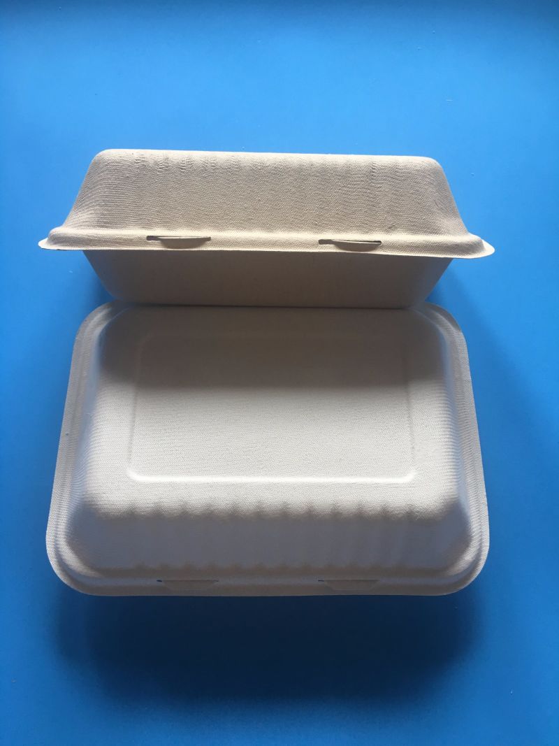 Biodegradable Sugarcane Bagasse Pulp Paper Food Packaging Container Box Takeawy Luch Box