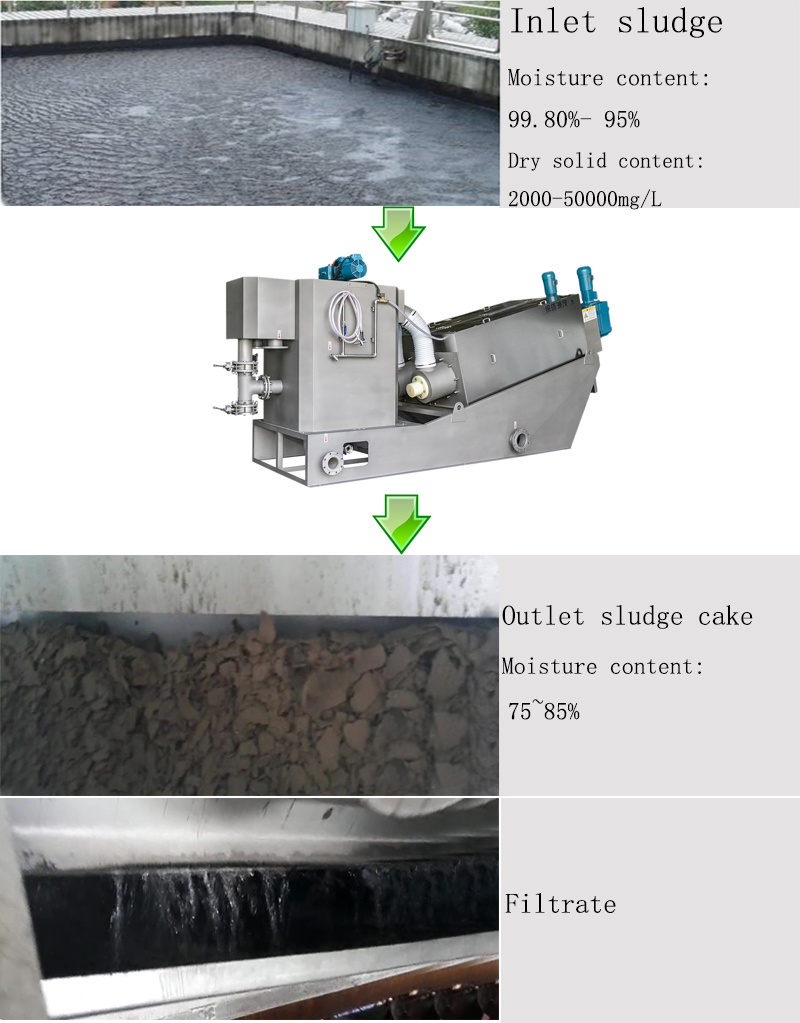 Paper Plate Screw Press for Wastewater Treatment