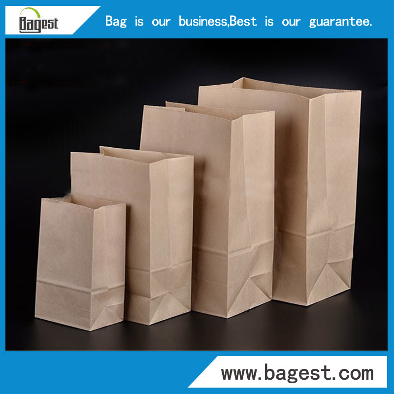 Natural Color Kraft Paper Bag for Food Paper Shopping Bag