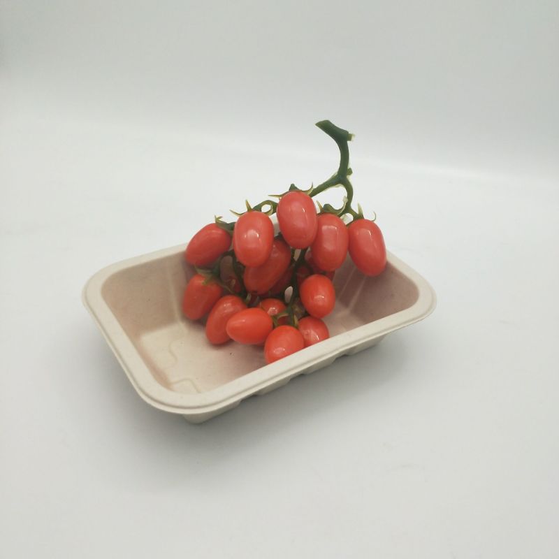 Biodegradable Sugarcane Bagasse Food Tray Food Plate BBQ Tray