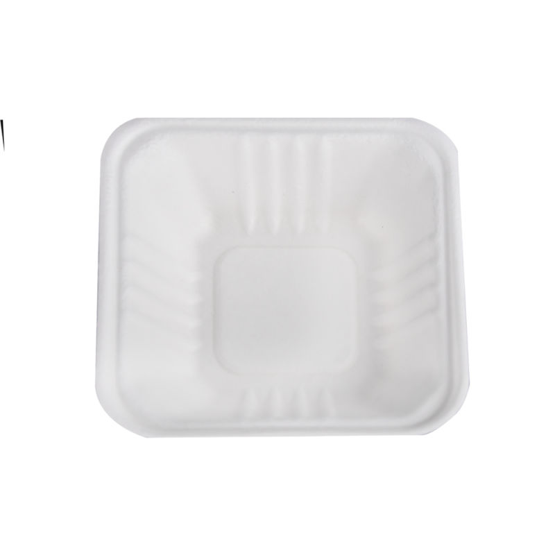 Biodegrdable and Eco Friendly Bagasse Sugarcane Lunchbox Clamshell