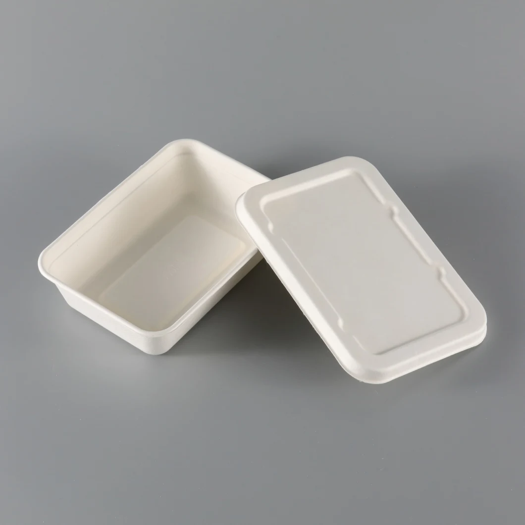 Biodegradable Food Packaging Tableware Sugarcane Bagasse Container with Lid 500ml 650ml Lunch Paper Tray