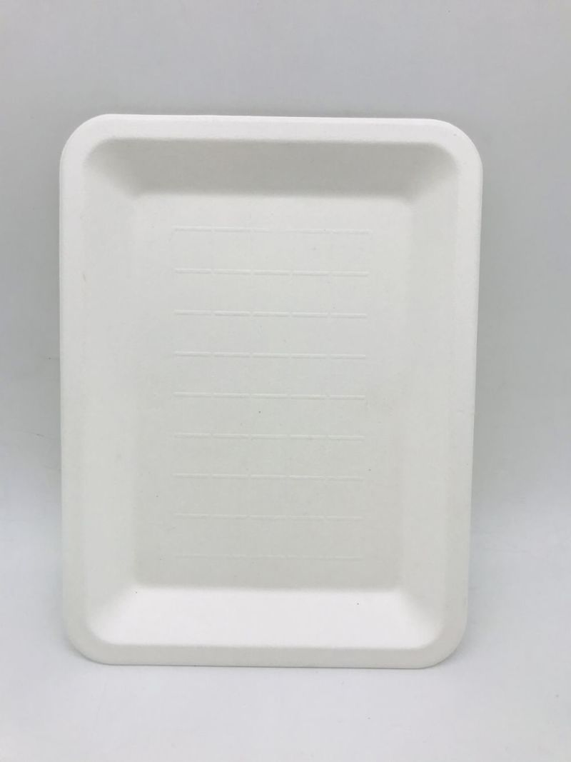 Factory Wholesale Biodegradable Eco Friendly Sugarcane Disposable Fruit Paper Plate