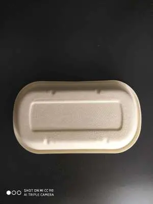 Biodegradable Bagasse Paper Lunch Box 800ml Wholesale Custom Biodegradable Pulp Salad Box