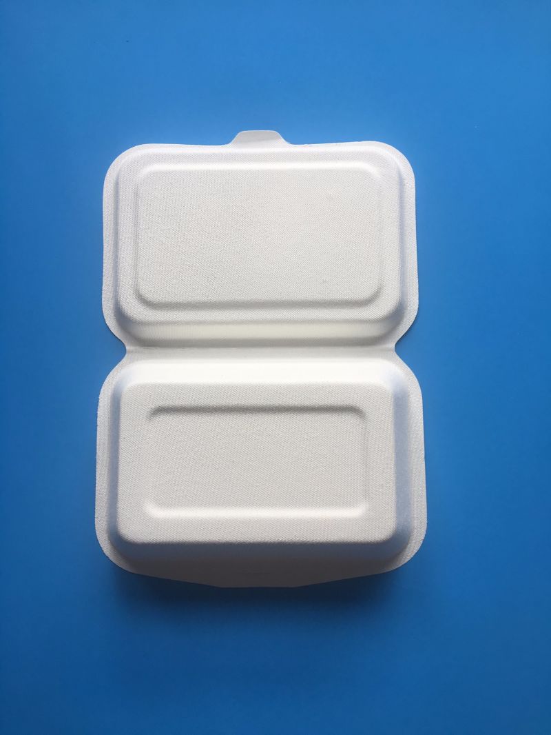 Manufactury Biodegradable Bagasse Pulp Paper Food Packaging Container Box 1000ml Takeawy Box