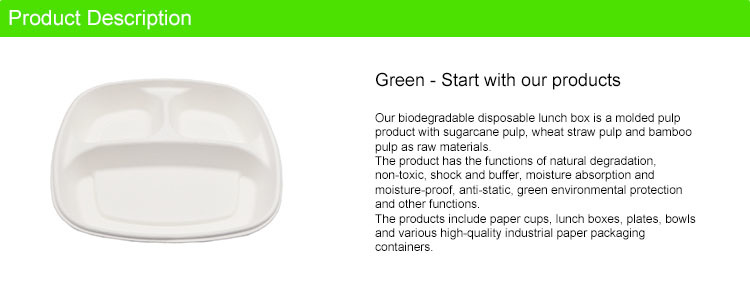Biodegradable Sugarcane Bagasse Disposable Hot Dinner Plate