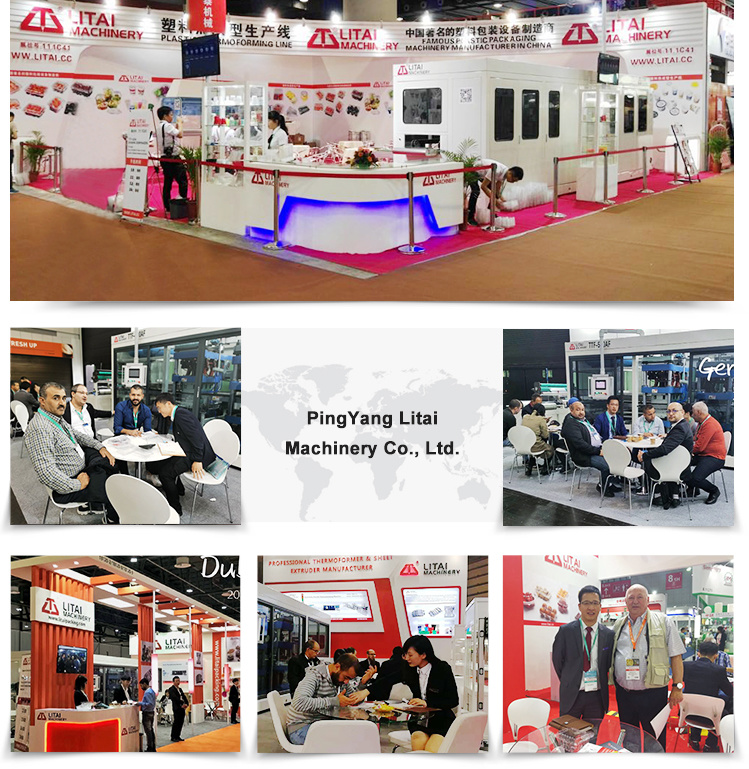 Plastic Blister Tray Thermoforming Machine for Thermoforming Machine for Plastic Trays
