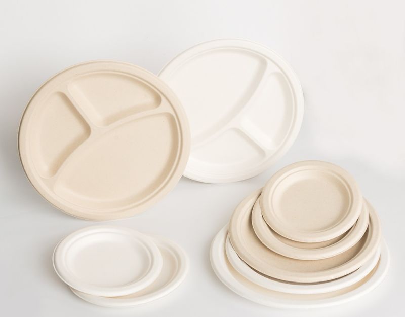 Eco-Friendly Disposable Biodegradable Compostable Sugarcane Bagasse Plate