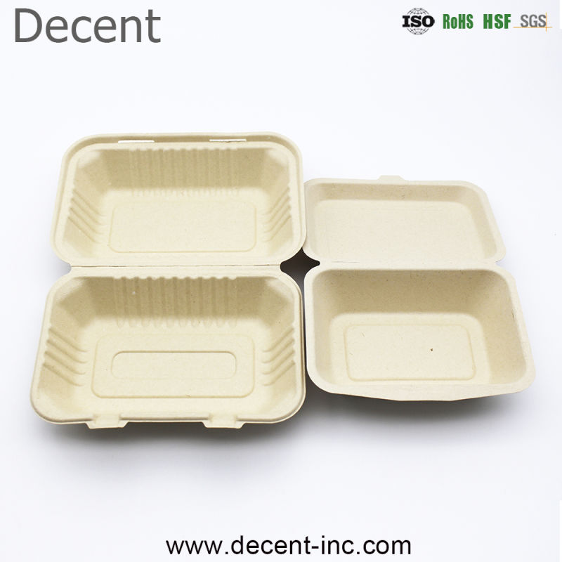 High Quality Biodegradable Compostable Disposable Eco-Friendly Sugarcane Bagasse Food Containers