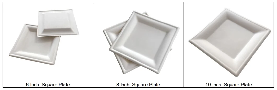 Biodegradable Bagasse Plate - 9 Inch Sugarcane Dinner Plate Disposable Paper Plate with 3 Sections