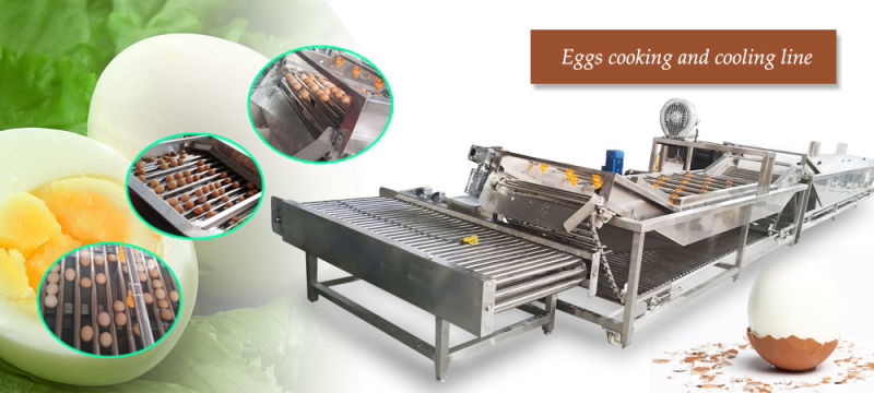Industrial Boiled Egg Peeling Machine Egg Boiling Machine Egg Boiler Cooker