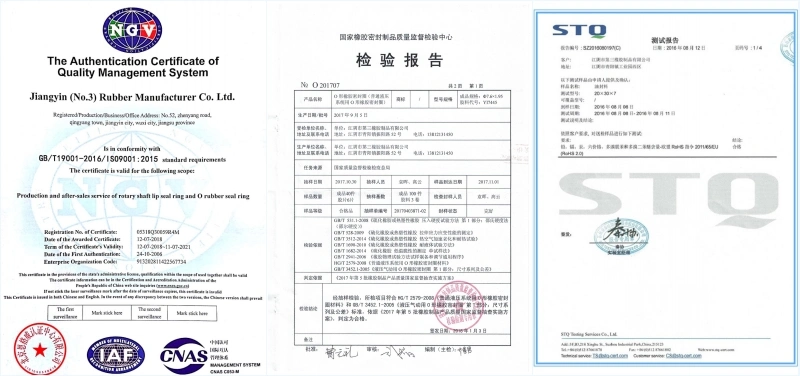 Oil - Resistant Fluorine Silicone Oil Seal