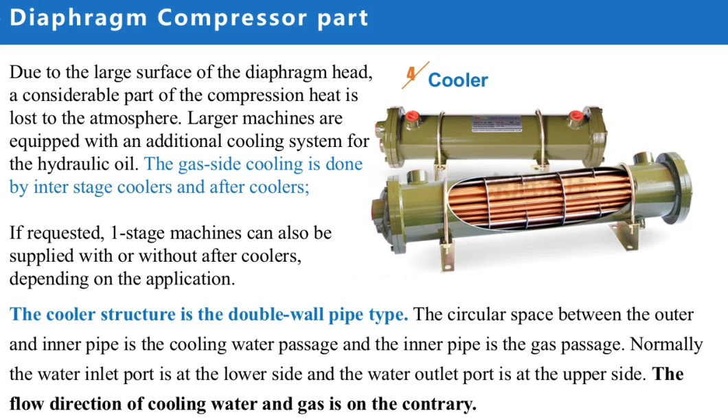 Hydrogen Compressor Oil Free Oxygen Helium Nitrogen CO2 5.5kw Piston Compressor