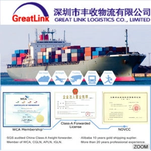 USA Market Sea Freight Logistics Shipping Service From  China to  Buffalo, Ny/Charleston, Sc/Charlotte, Nc/Cincinnati, Oh/Cleveland, Oh/Columbus, Oh