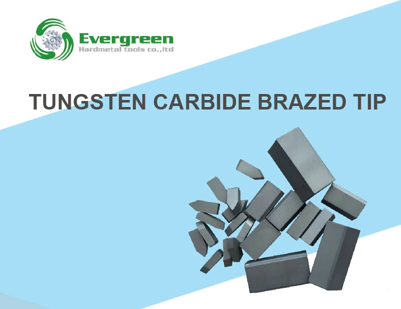 Tungsten Carbide Brazed Tips with D4 D5 D6 D8
