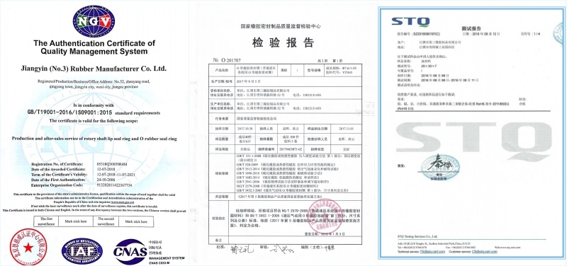 High Temperature and Oil Resistant Fluorine Silicone Oil Seal Seals