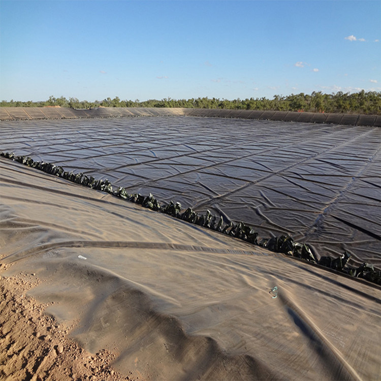 Waterproofing HDPE Smooth Black Geomembrane Fish Farm Pool Lake Dam Pond Liner