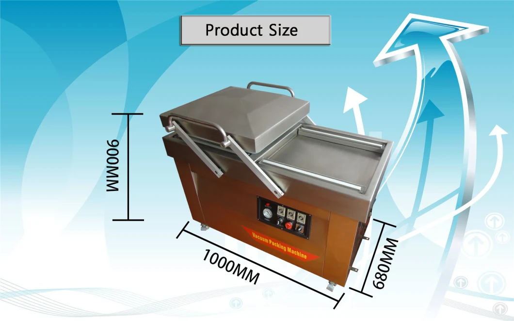 Dzd-400-2sb Automatic Electric Vacuum Food Saver Sealer Sealing Packing Machine