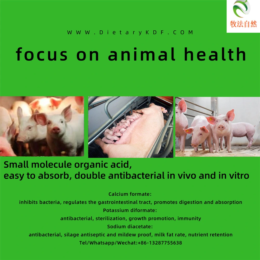 Animal Health Growth Promoter Potassium Diformate Supplier Potassium Diformate Feed Additive