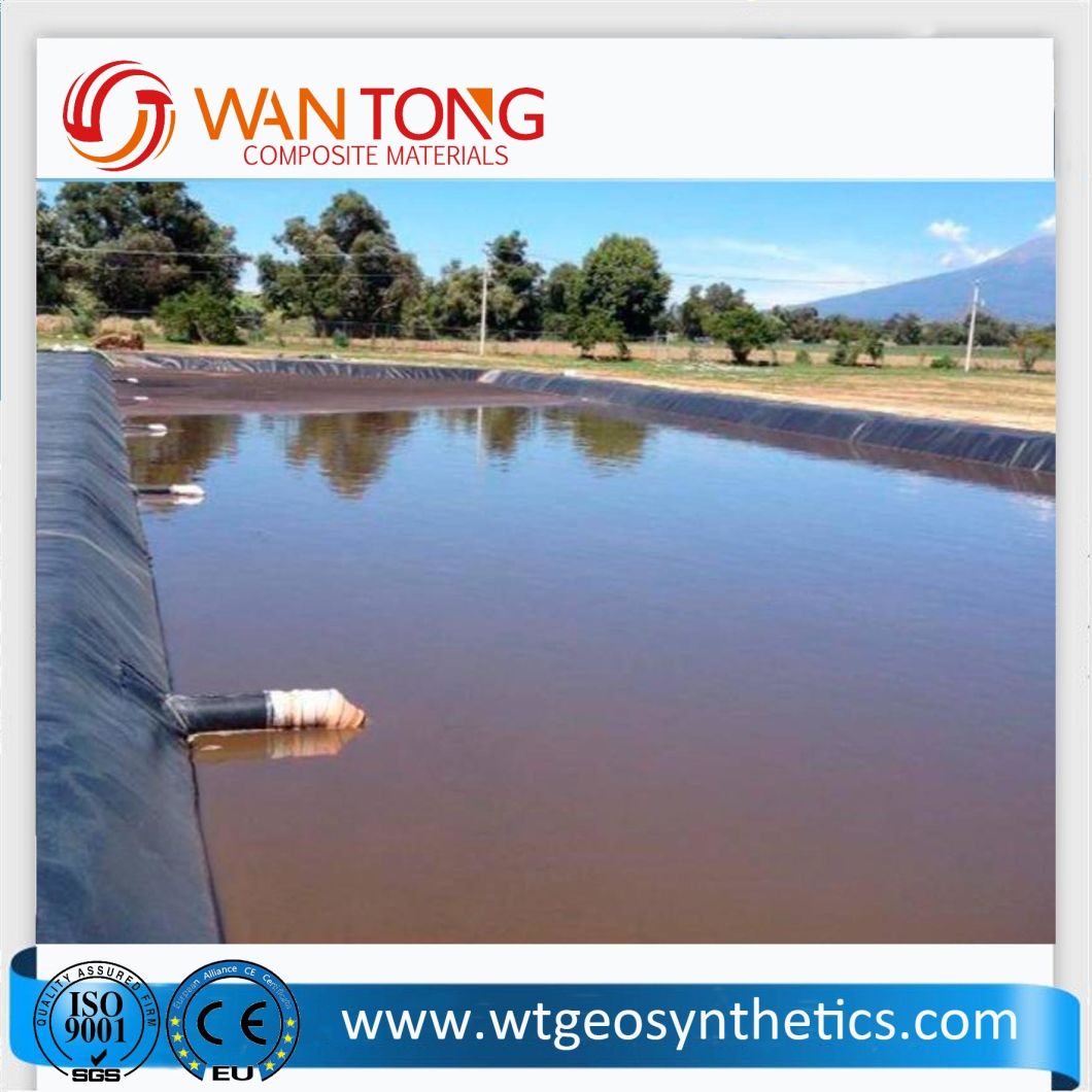 Waterproofing HDPE Smooth Black Geomembrane Fish Farm Pool Lake Dam Pond Liner