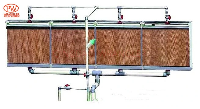 Long Life Auto Chicken Raising Pullet Rearing Cage System Designed for Chicken Coop Chicken House