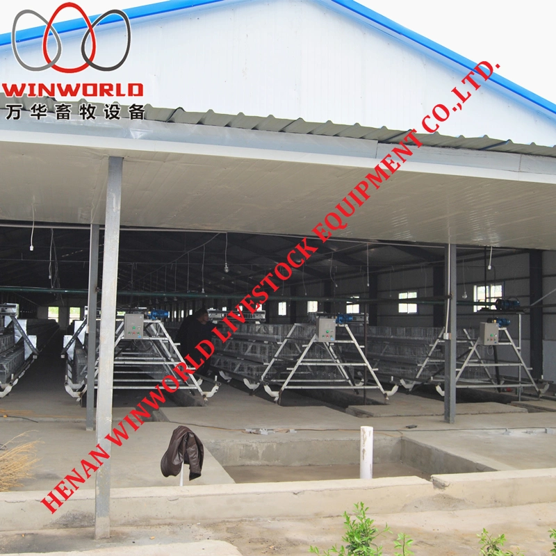 Ghana Hot Sale Battery Broiler Cage & Hot Galvanized Meat Chicken Cage in Chicken Shed