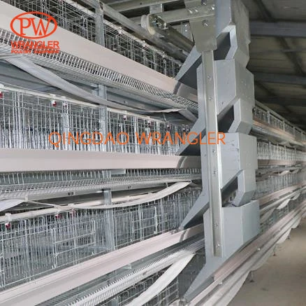 Best Sale Automatic Chicken House Design for Layers Poultry Farm Construction