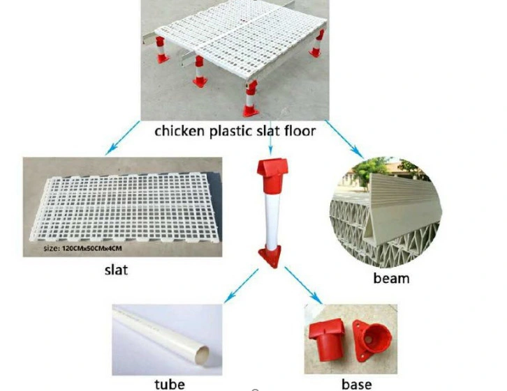 Automatic Chicken Farm Equipment Plastic Floor for Broiler Chicken, Layer Chicken