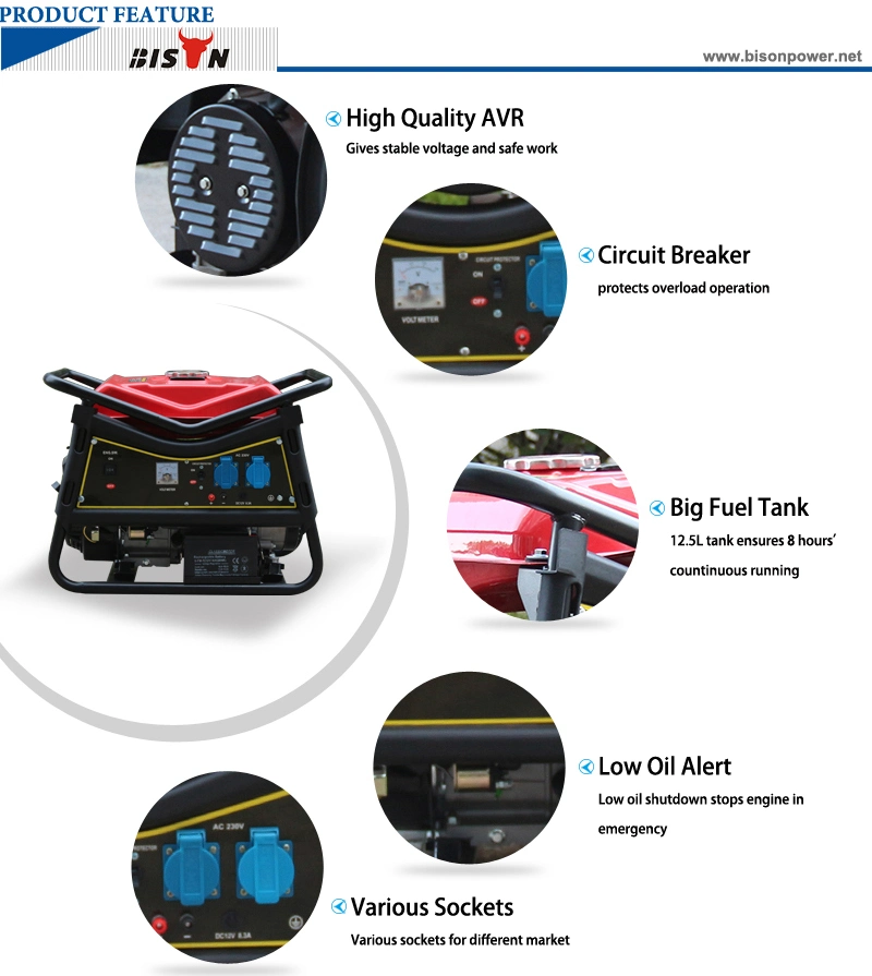 Bison (China) BS4500V (H) 3kw Long Run Time Portable Generator