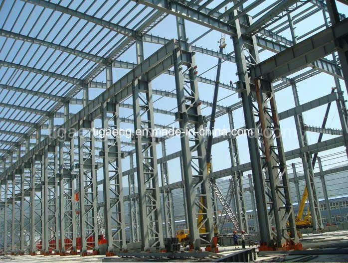 Large Scale Steel Structure Chicken House Building Design Poultry Farming Shed