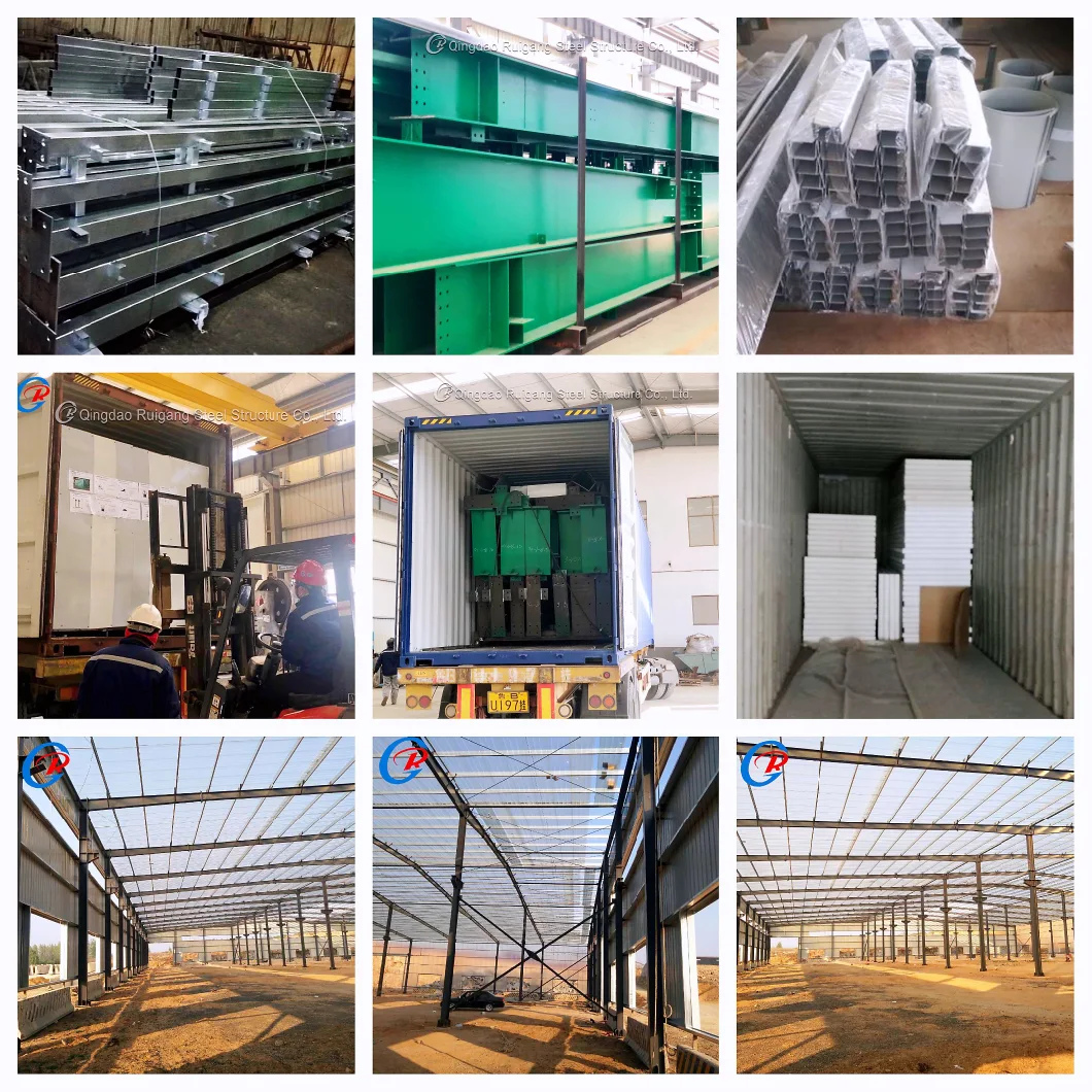 China Large Prefabricated Steel Structure Poultry Farm Chicken House Design