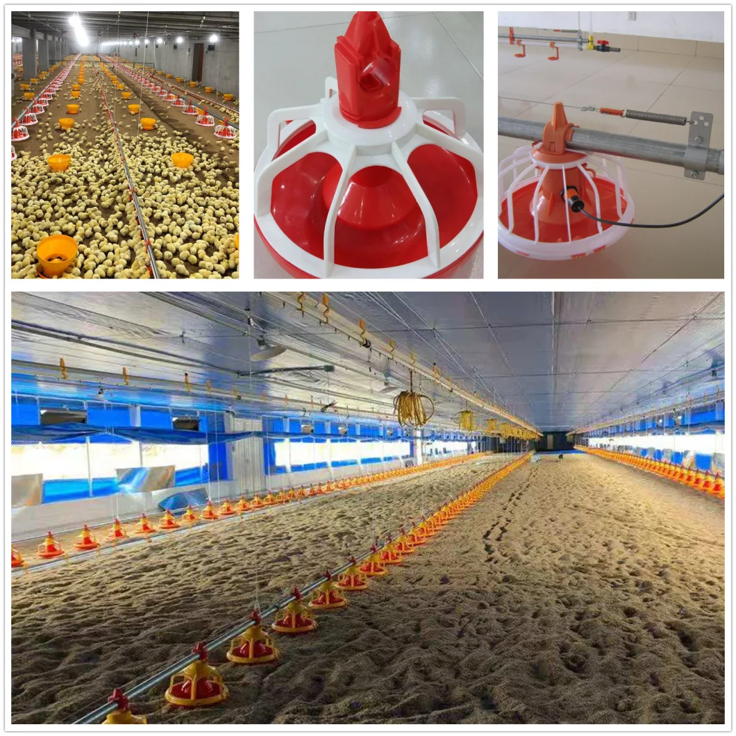 China Best Quality Automatic Poultry Equipment for Broiler Chickens
