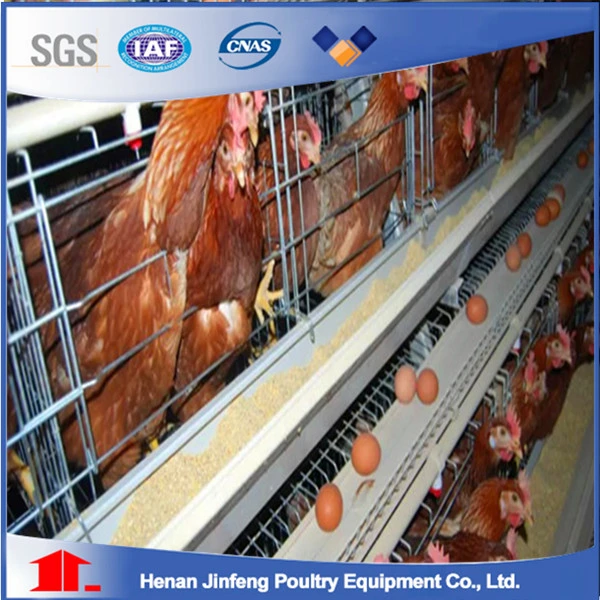 Hot Galvanized China Wholesale Custom Chicken Farm Poultry Cage for Sale