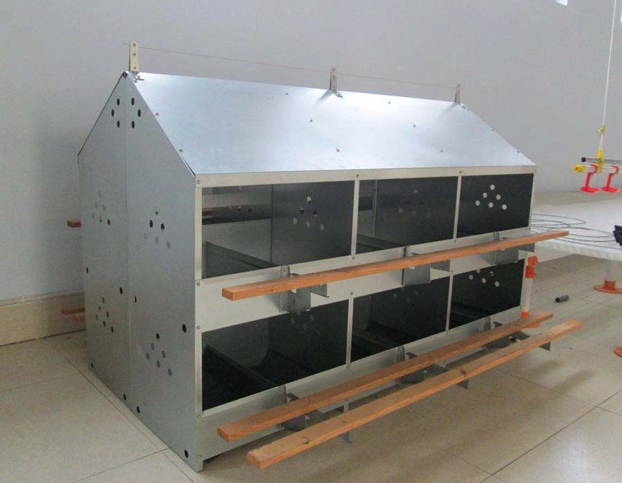 Poultry Nesting Box for Chicken Laying with Automatic Device