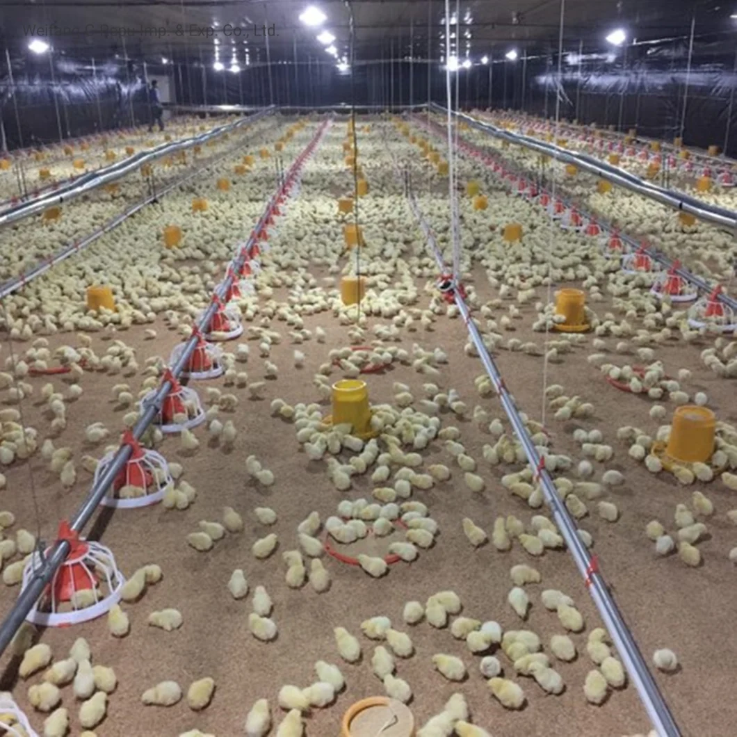 Automatic Poultry House Environment Control System for Broiler Chickens