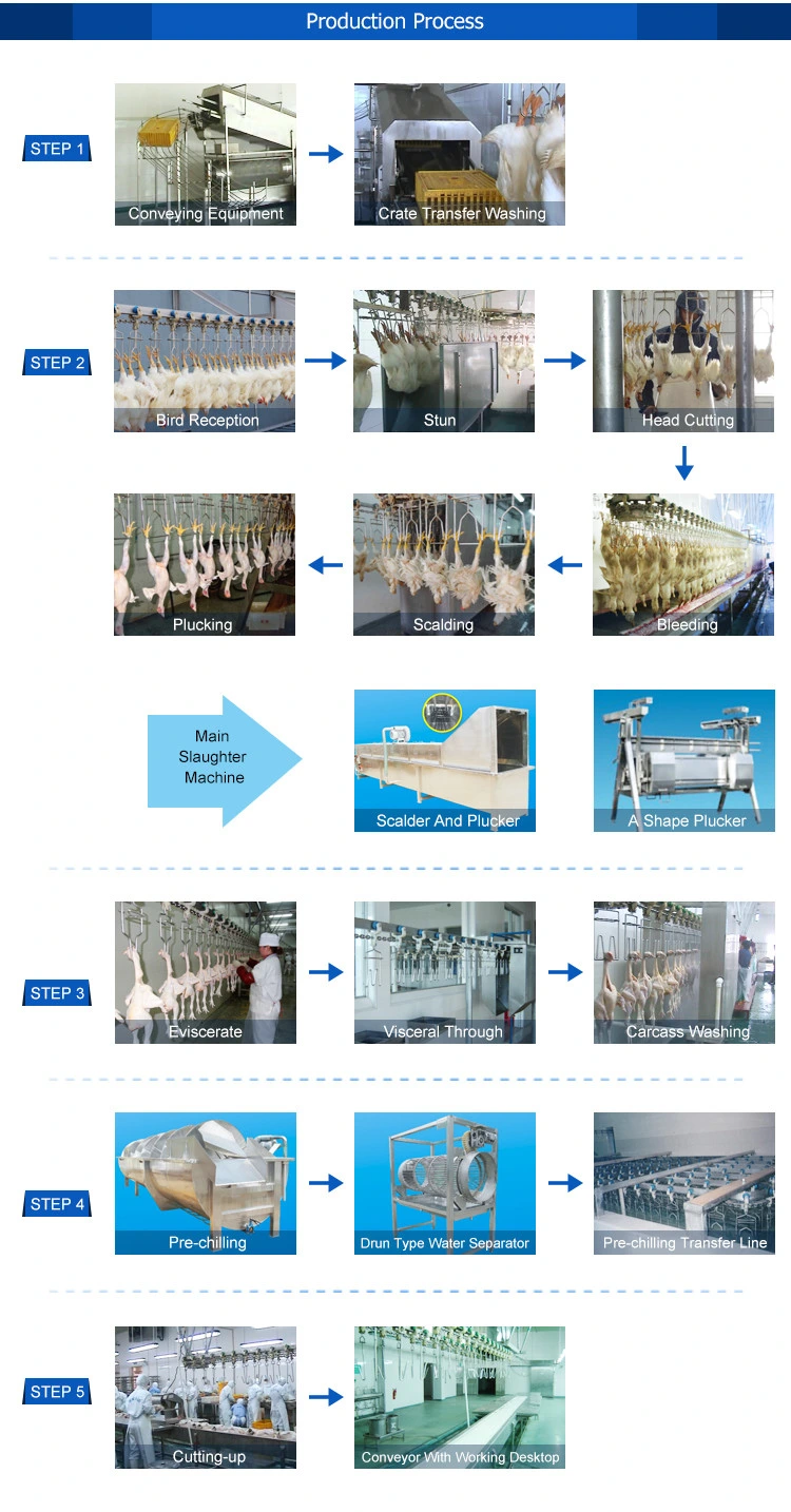 Used to Chicken Slaughtering Machine /Chicken Processing Equipment /Poultry Plucking Pre-Chilling Machines