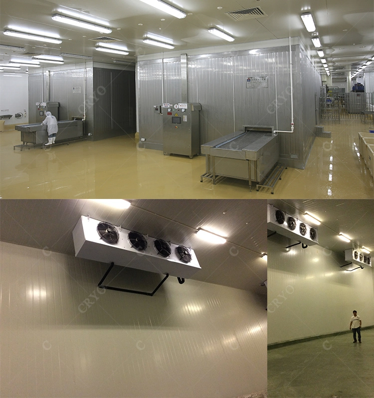 Cranberry Chicken Cold Room for Fish Mobile Cold Rooms Cold Storage Warehouse