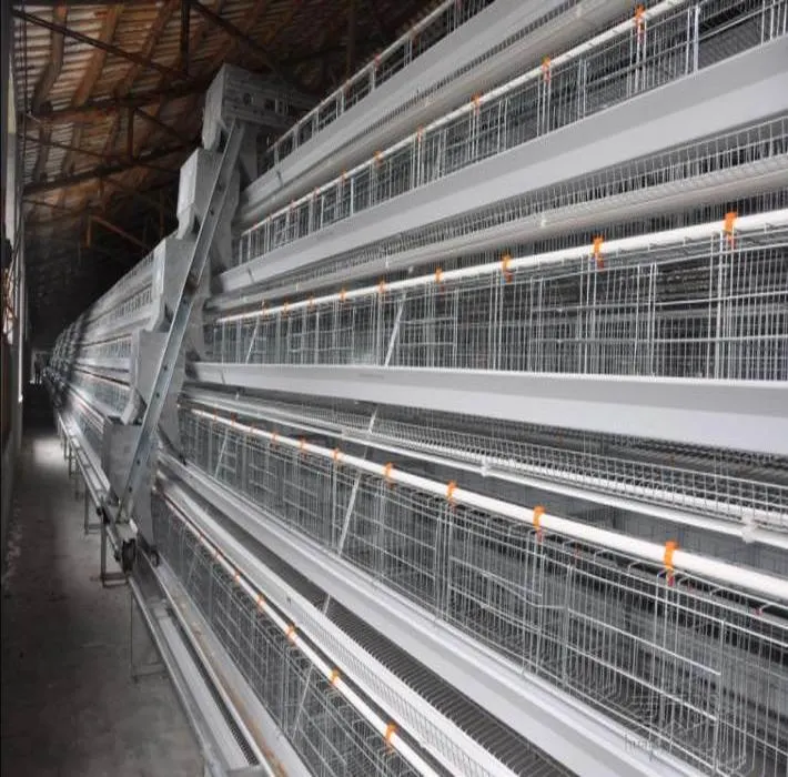 Layer Chicken Cage/Chicken Cage/Poultry Cage