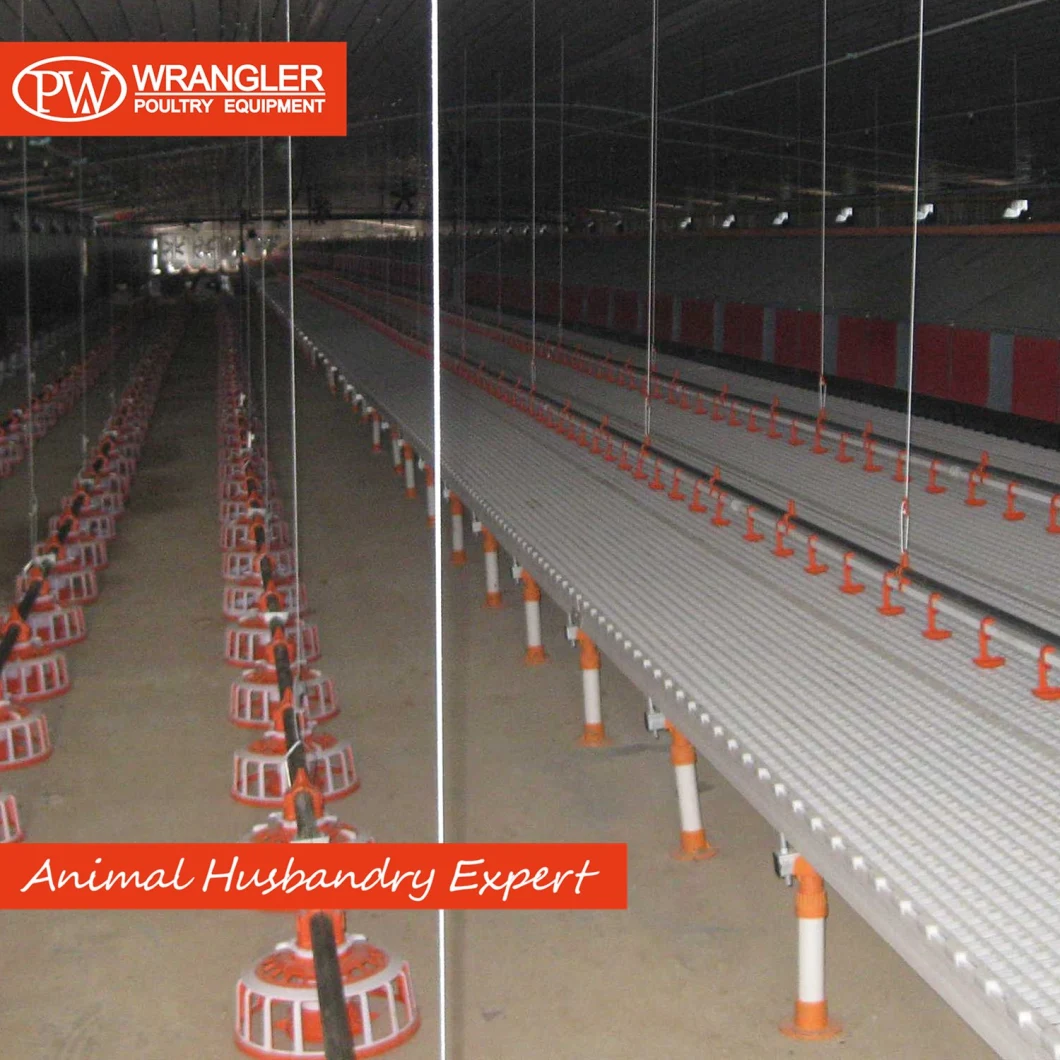 ^Poultry Farm Modified Plastic Slatted Floor for Birds/Poultry/Chickens