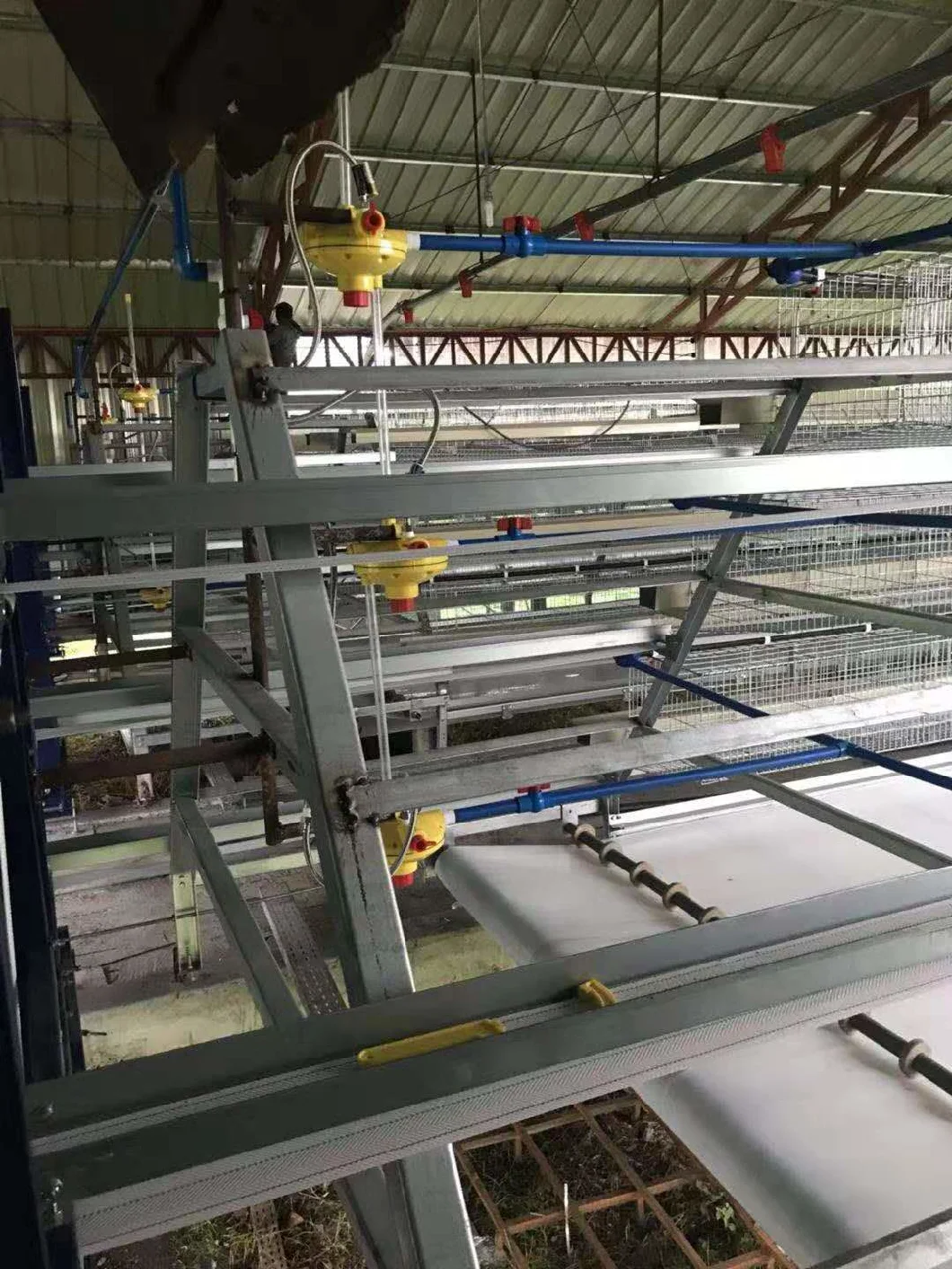 Chicken Use Hot Galvanized Poultry Equipment Chicken Farm Layer Cage for Sale